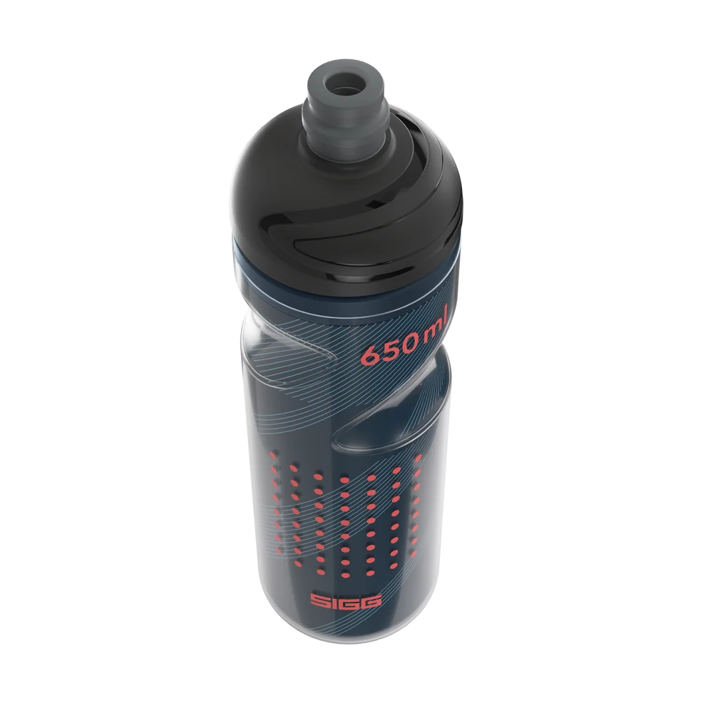 SIGG Pulsar Therm Night 650ml
