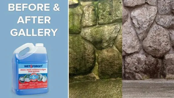 Wet & Forget 5 Litre Mould, Moss, Algae & Lichen Remover