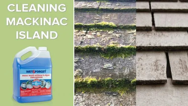 Wet & Forget 5 Litre Mould, Moss, Algae & Lichen Remover