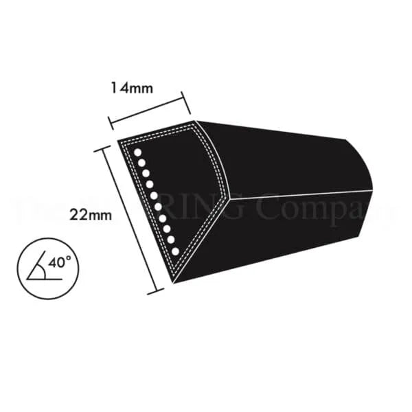 C105 V-Belt | 2667mm - Connor Topper