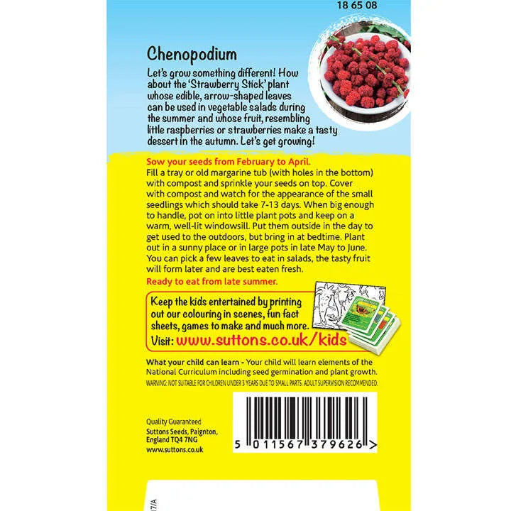 Strawberry Sticks Seeds