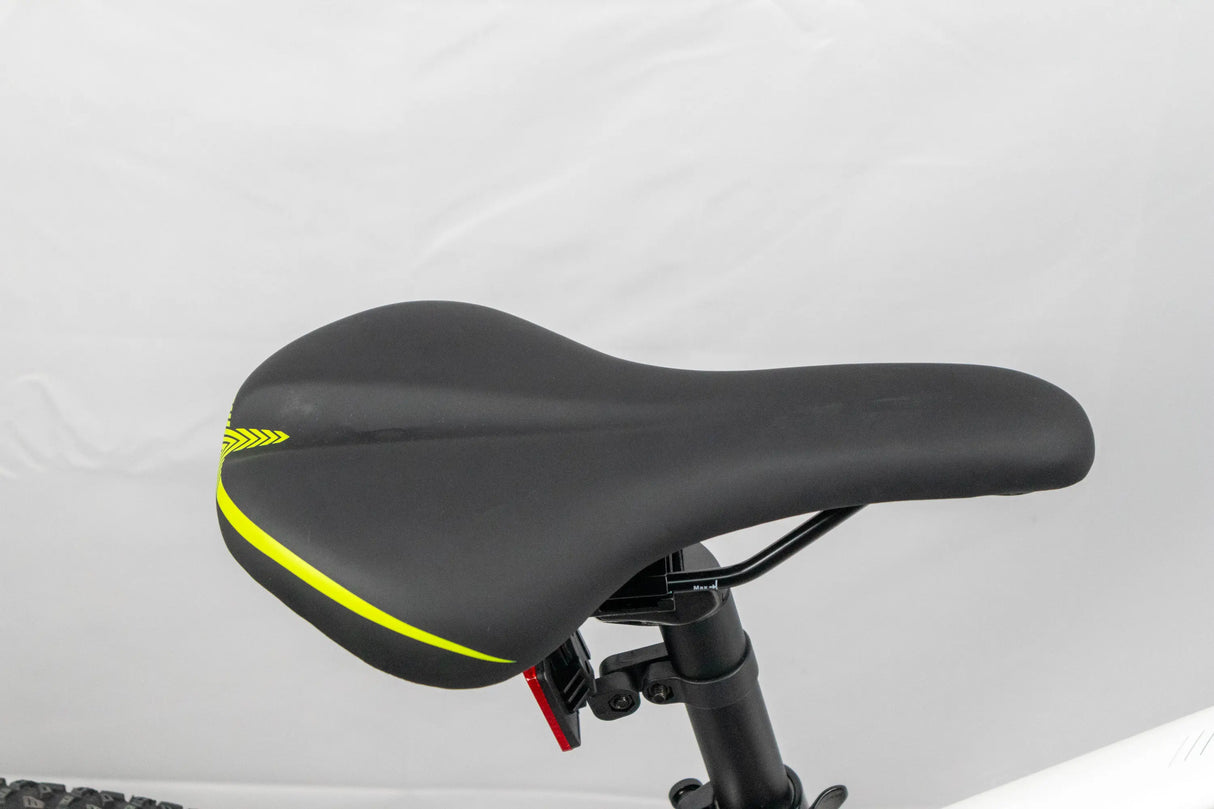 Ecobike SX3 Electric Mountain Bike