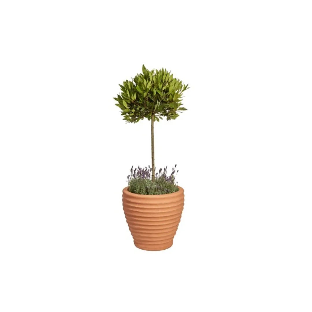Moy Extra Large Moroccan Planter