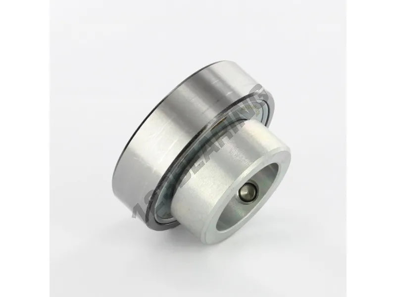 RAE30NPP 30mm INA Bearing Insert