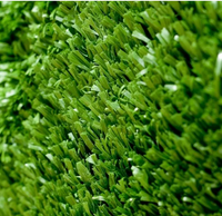 Artificial Grass