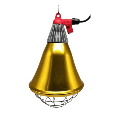 Lamp Holders