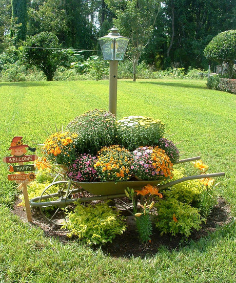 Garden Decor
