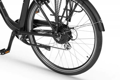 Electric bike Ecobike Traffic Black