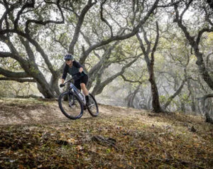 Marin Wildcat Trail 3 27.5" Womens Mountain Bike Silver