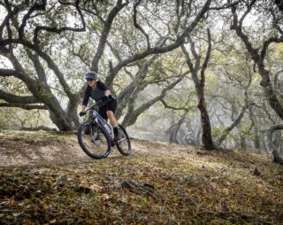 Marin Wildcat Trail 1  27.5" Mountain Bike Maroon