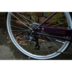 Dawes Cambridge 17" Heritage Bike - Plum
