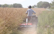 Logic MFT Flail Mower