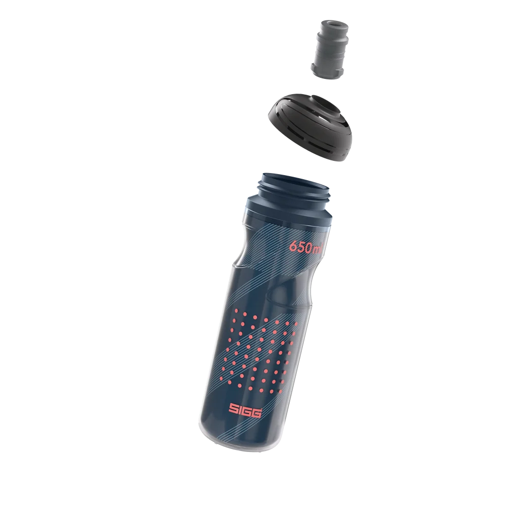 SIGG Pulsar Therm Night 650ml
