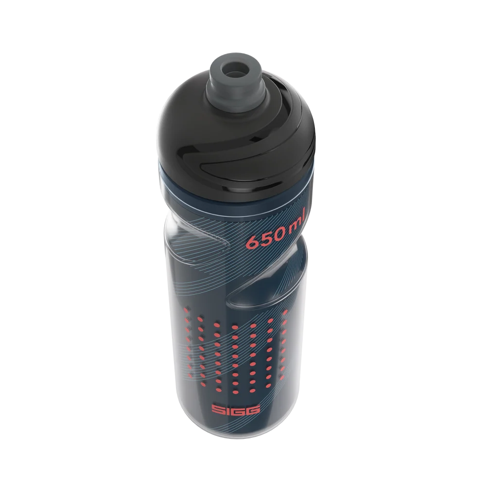 SIGG Pulsar Therm Night 650ml