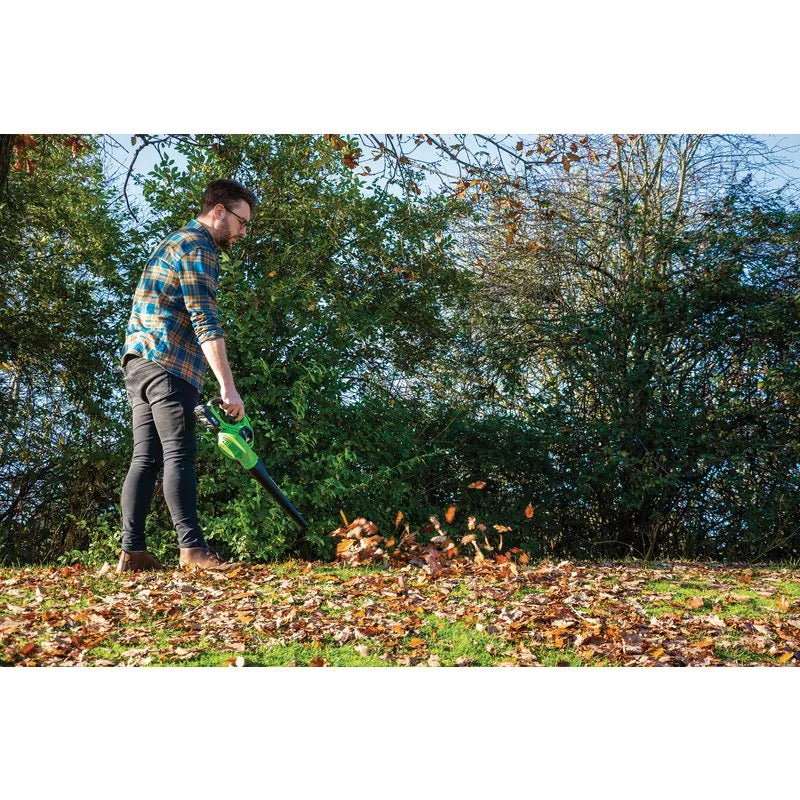 Draper D20 20V Leaf Blower, 1 X 2.0 Ah Battery, 1 X Charger Set