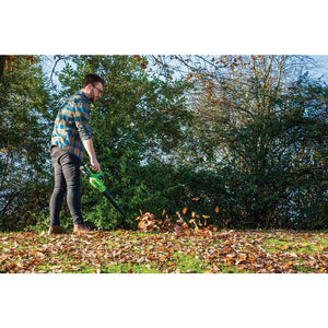 Draper D20 20V Leaf Blower, 1 X 2.0 Ah Battery, 1 X Charger Set