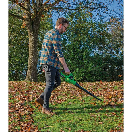 Draper D20 20V Leaf Blower, 1 X 2.0 Ah Battery, 1 X Charger Set