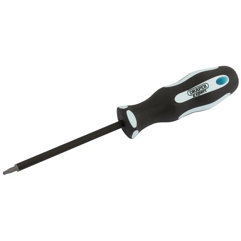 Draper Square Recess Soft Grip Security Screwdriver, S1 x 100mm