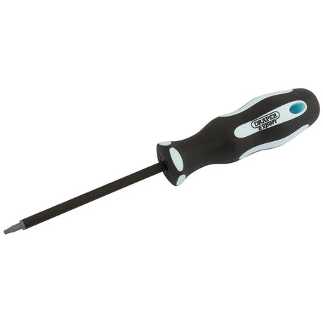 Draper Square Recess Soft Grip Security Screwdriver, S1 x 100mm