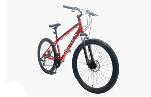 Bentini Cougar 26" Mountain Bike