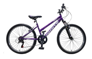 Ignite Destiny 24" Mountain Bike