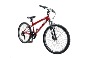 Ignite Frenzy 24" Mountain Bike