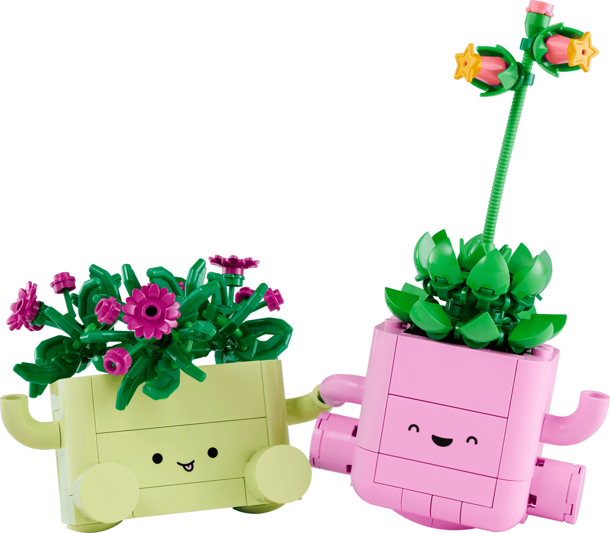 LEGO Botanicals 11506 Rocking Plants