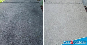 Wet & Forget 5 Litre Mould, Moss, Algae & Lichen Remover