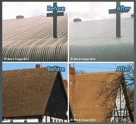 Wet & Forget 5 Litre Mould, Moss, Algae & Lichen Remover