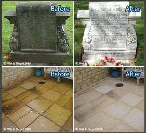 Wet & Forget 5 Litre Mould, Moss, Algae & Lichen Remover
