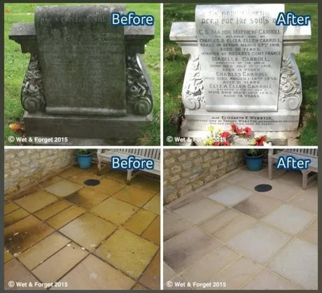 Wet & Forget 5 Litre Mould, Moss, Algae & Lichen Remover