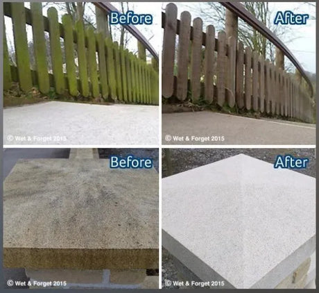 Wet & Forget 5 Litre Mould, Moss, Algae & Lichen Remover