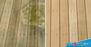 Wet & Forget 5 Litre Mould, Moss, Algae & Lichen Remover