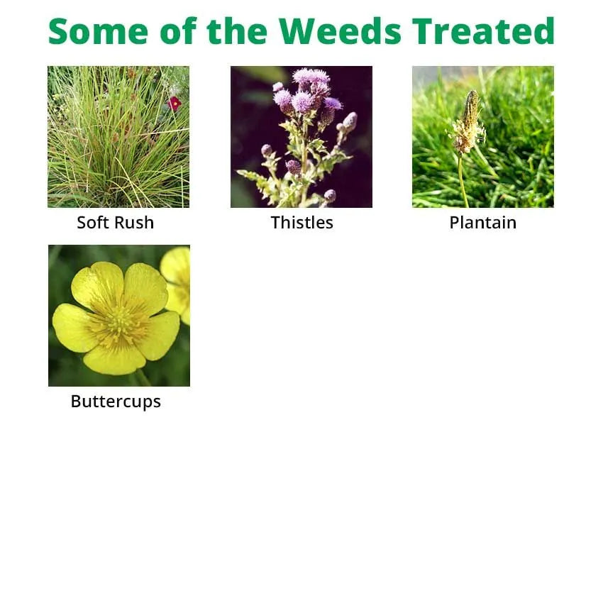 Agritox 10L MCPA Grassland Weed Killer - Controls Broad-leaved Weeds and Soft Rush