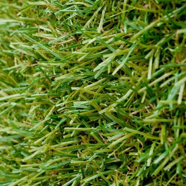 GreenFx Eden Artificial Grass - 20mm x 1m x 4m