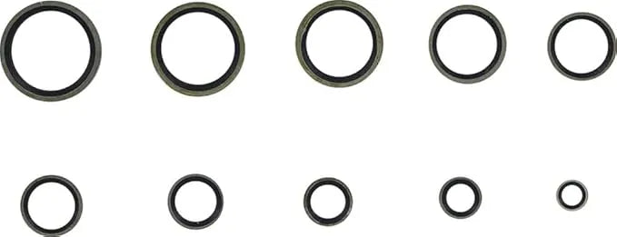 BGS Seal Ring Assortment 150 pc