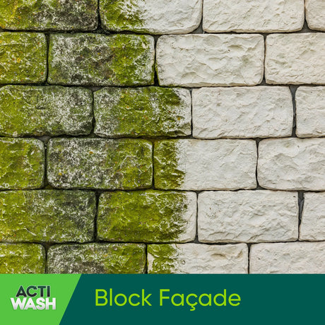 Actiwash Domestic 5L Biocide - Removes Red & Green Algae, Mould & Fungi