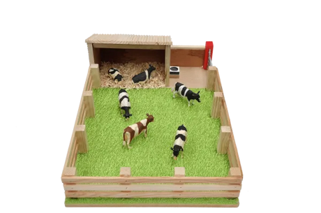 Millwood Calf House with Field