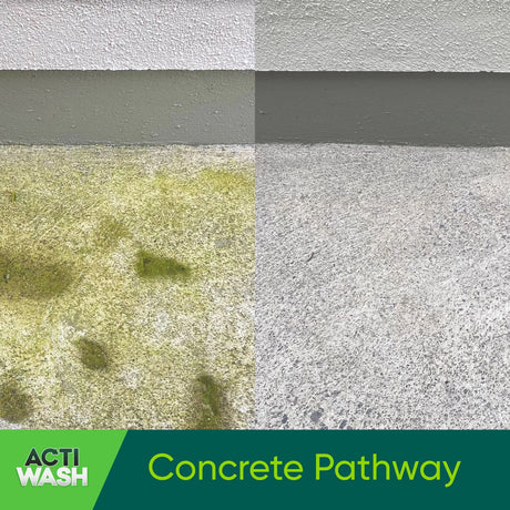 Actiwash Domestic 5L Biocide - Removes Red & Green Algae, Mould & Fungi