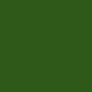 Deutz Green Paint - 1 Litre Tractol MK11 High Gloss Machinery Finish