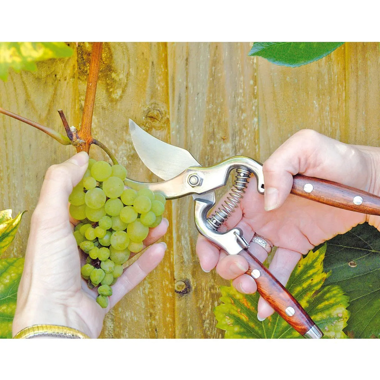 Draper Bypass Pattern Secateurs 210mm