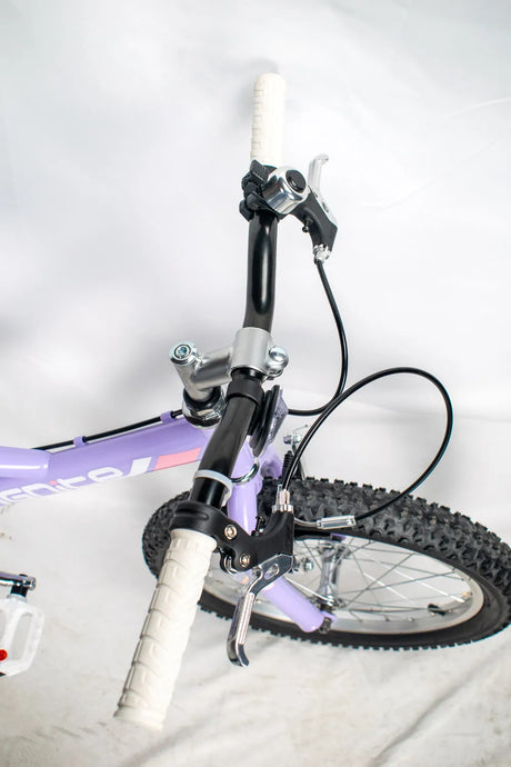 IGNITE Cosmic 18" Wheel Girls Lavender Bike | Fun & Stylish Kids Bicycle