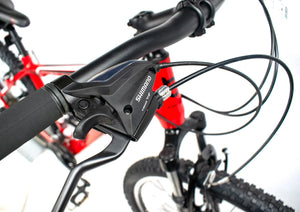 Bentini Ridge Mountain Bike
