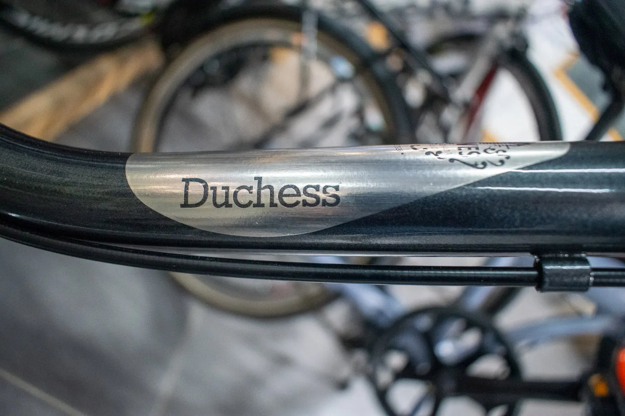Dawes Duchess Heritage 17" Bike | Classic Style & Comfort