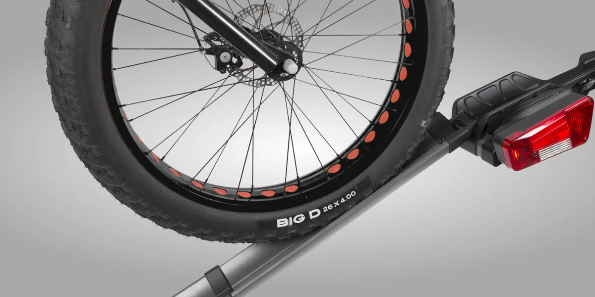 Buzzrack e-RAMP Telescopic ramp for e-bikes