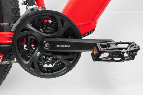 Ecobike SX4 Electric Mountain Bike