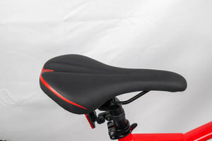 Ecobike SX4 Electric Mountain Bike