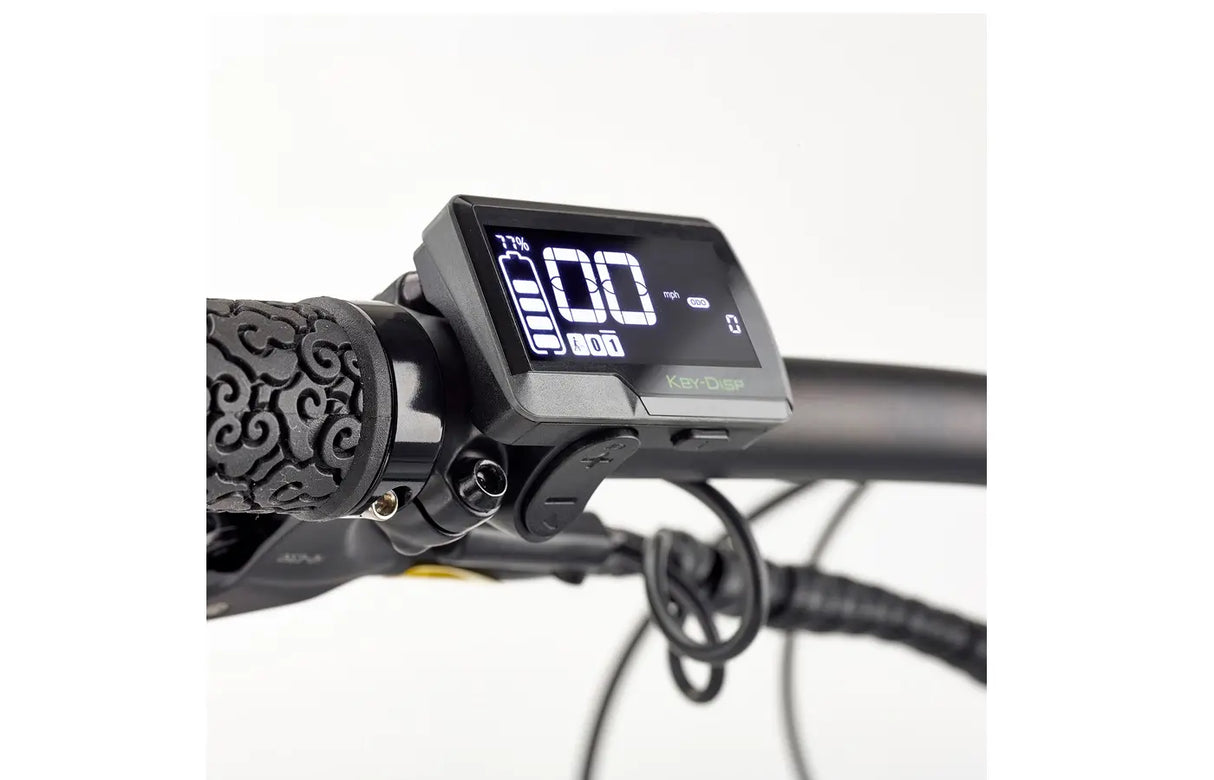 EZEGO Trail Destroyer eBike 17"