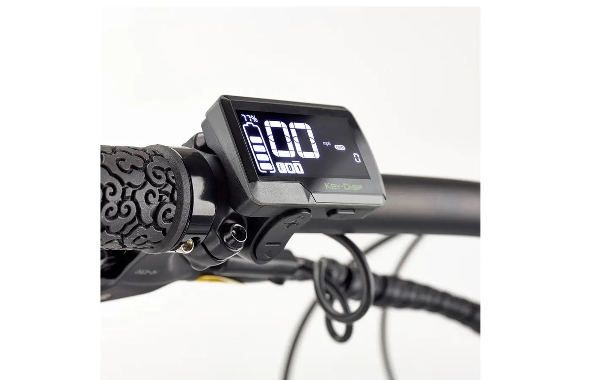 EZEGO Trail Destroyer eBike - 15" Army Green Electric Mountain Bike