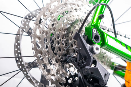 Fuji Ambient Evo 29 19" Electric Bike